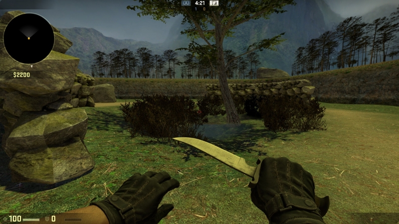 1v1_forest