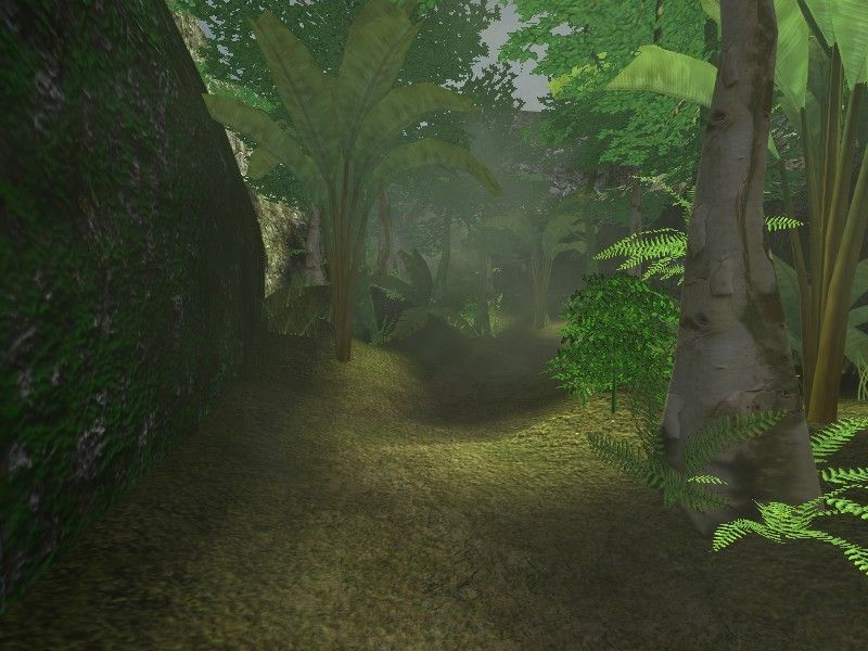cs_jungle