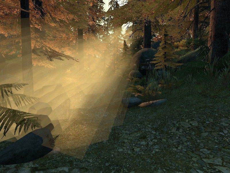 de_forest