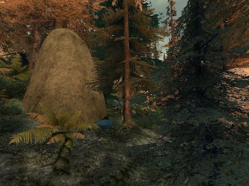 de_forest