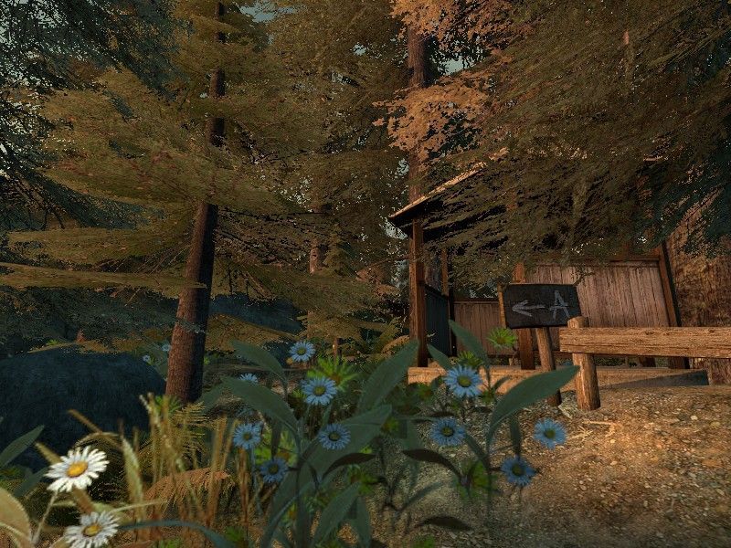de_forest