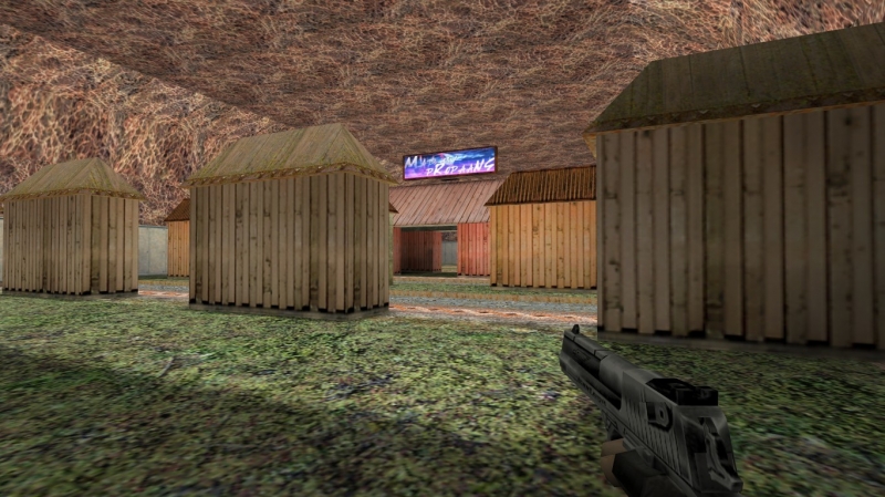 aim_deagleon