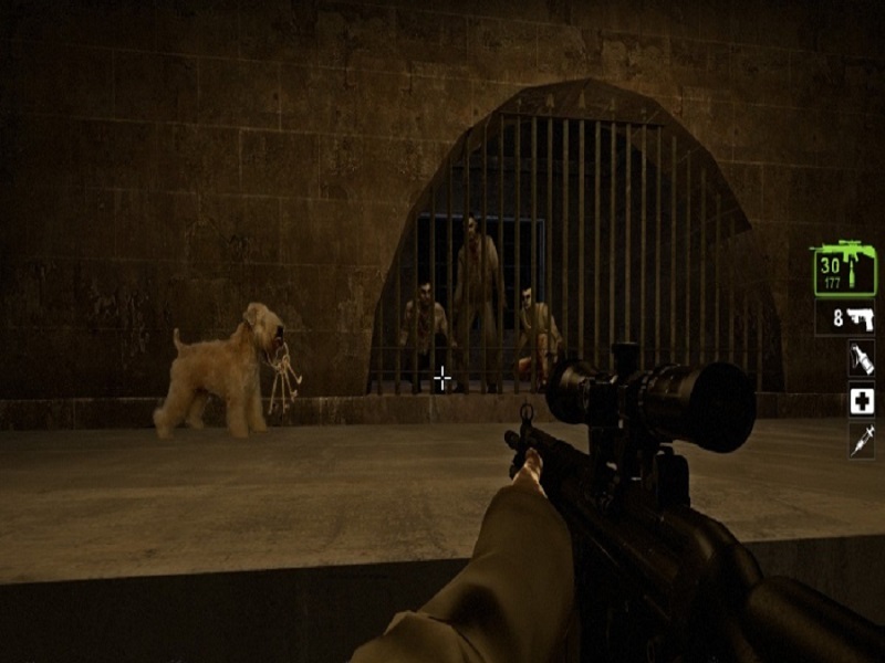 Zombies of the Caribbean