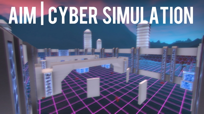 Aim | Cyber Sim...