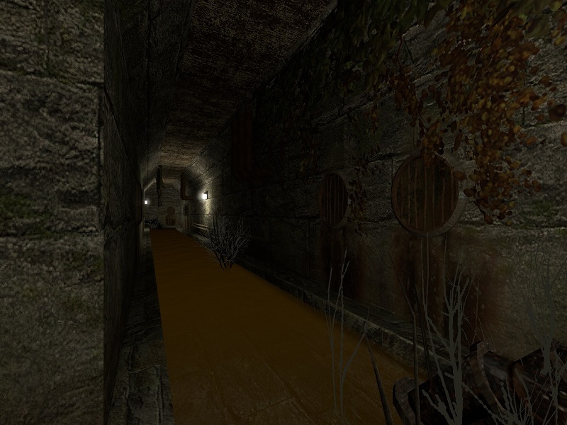 de_acity