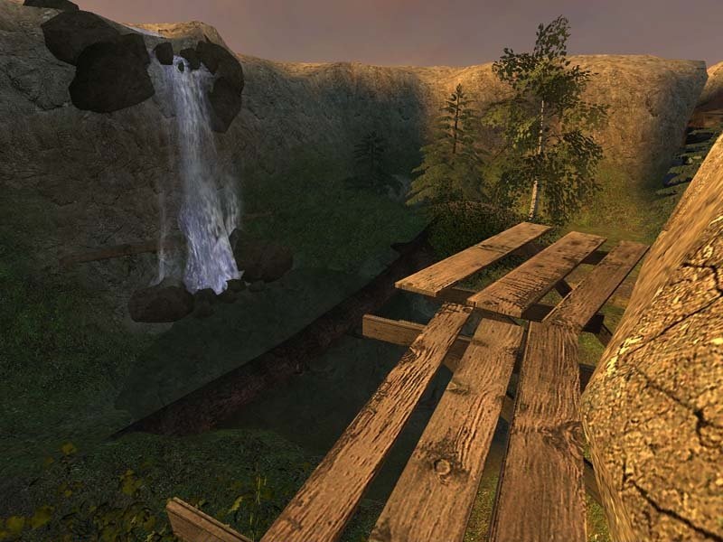 dm_forest_vendetta_v1