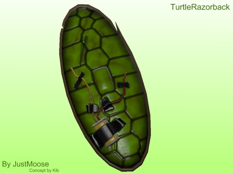Turtle Shell