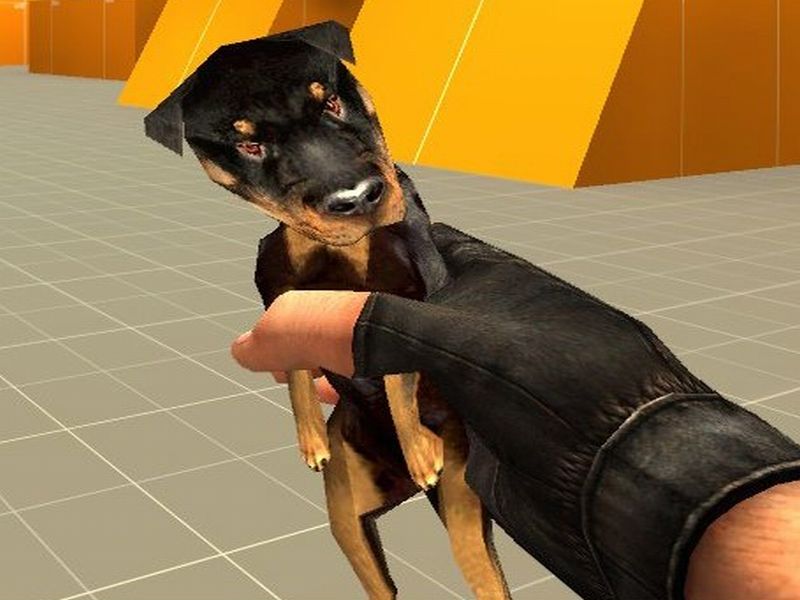 Puppy