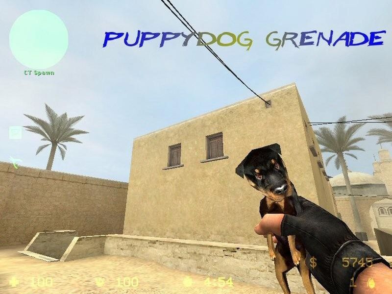 Puppy