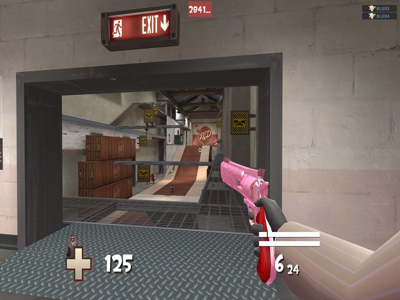 Pink as Hell Ambassador