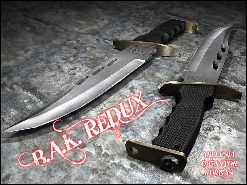 BAK 