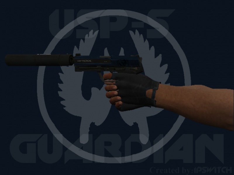 USP-S|Guardian