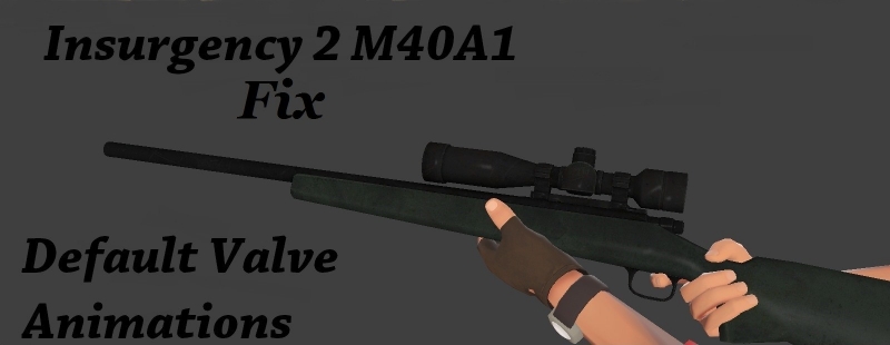 Insurgency M40A...