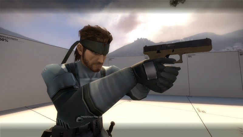 Solid Snake