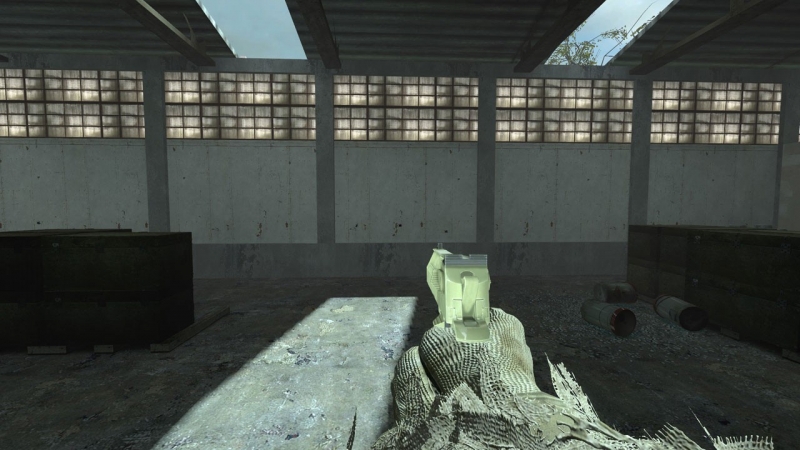 COD4/MW2 Desert...