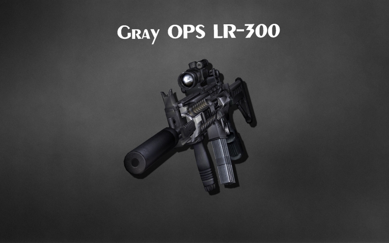 Gray OPS LR-300