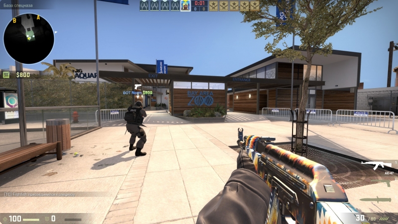 AK 47 | Breaking Colours