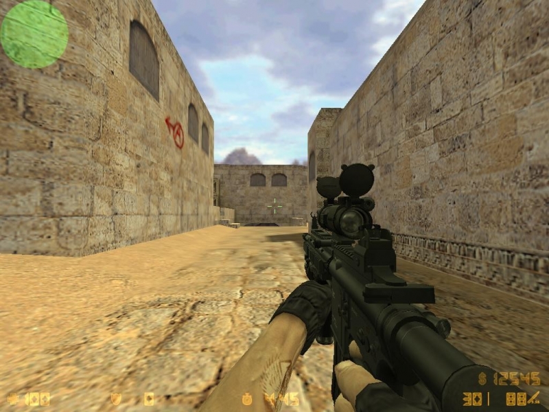 HK416 On Sick's Anims
