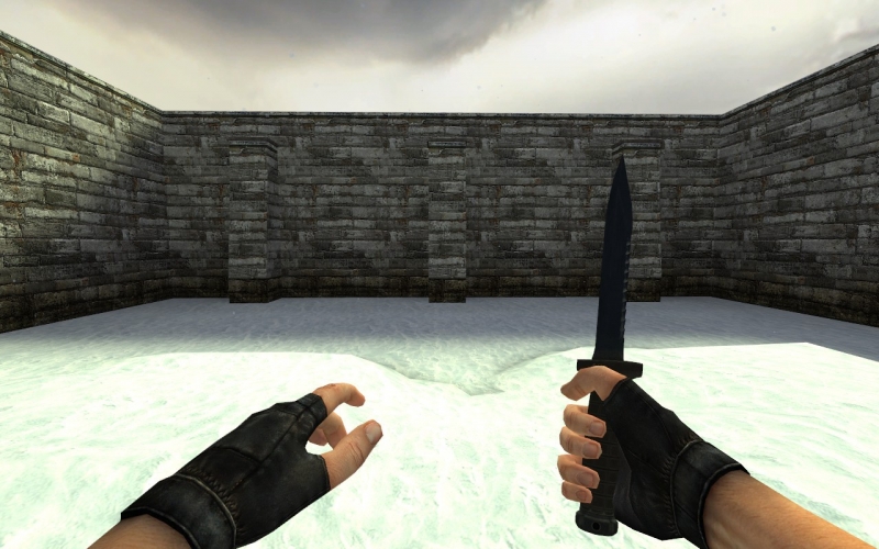 Paul Yakushev's OTs-04 on Default Anims