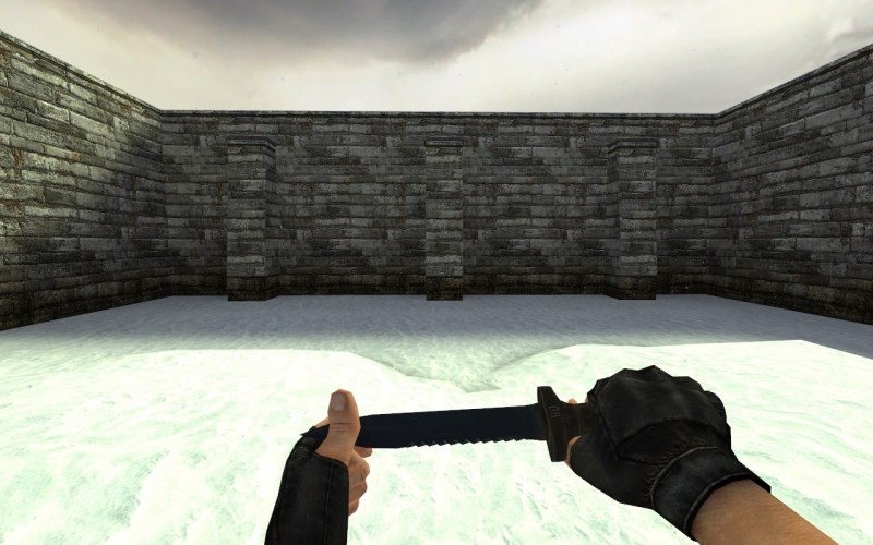 Paul Yakushev's OTs-04 on Default Anims