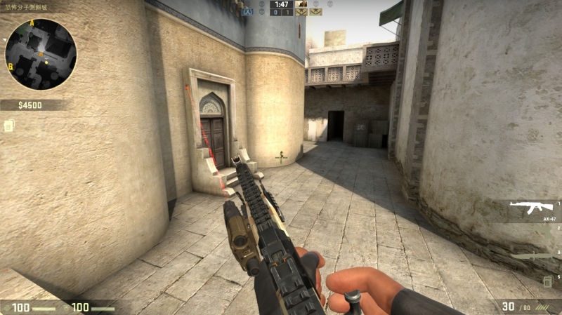 CODOL AK117 animations