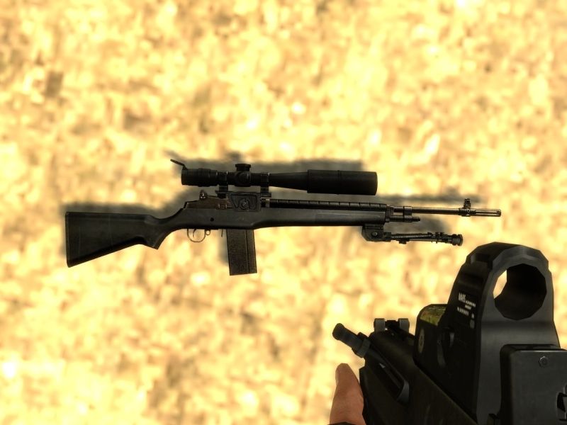 M14 for SG550 #2