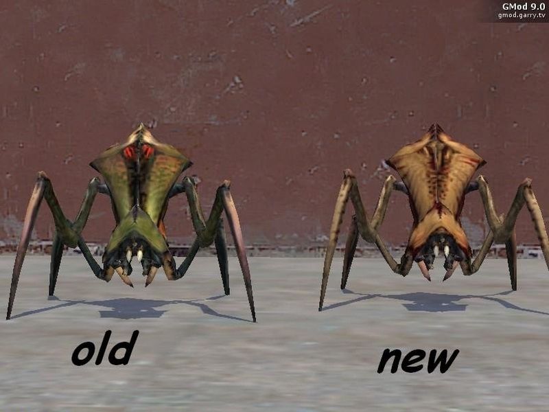 New Antlion