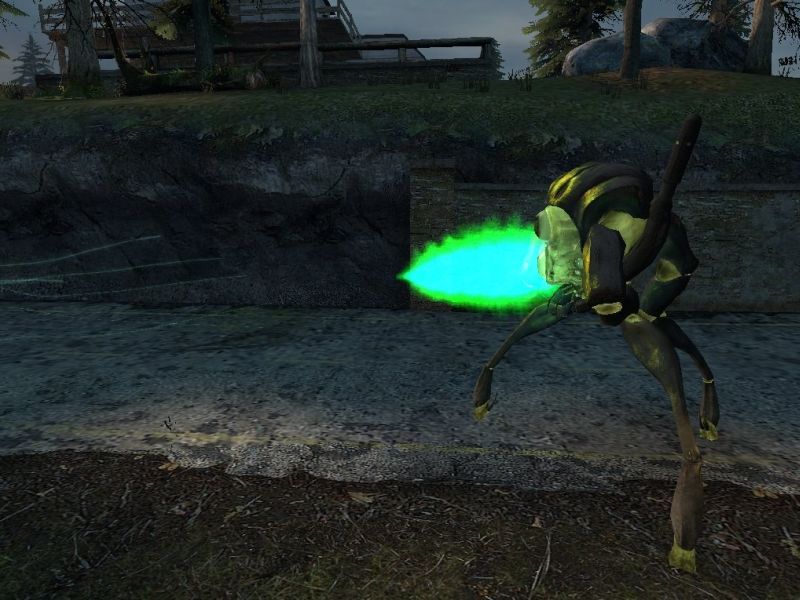 Green Hunter