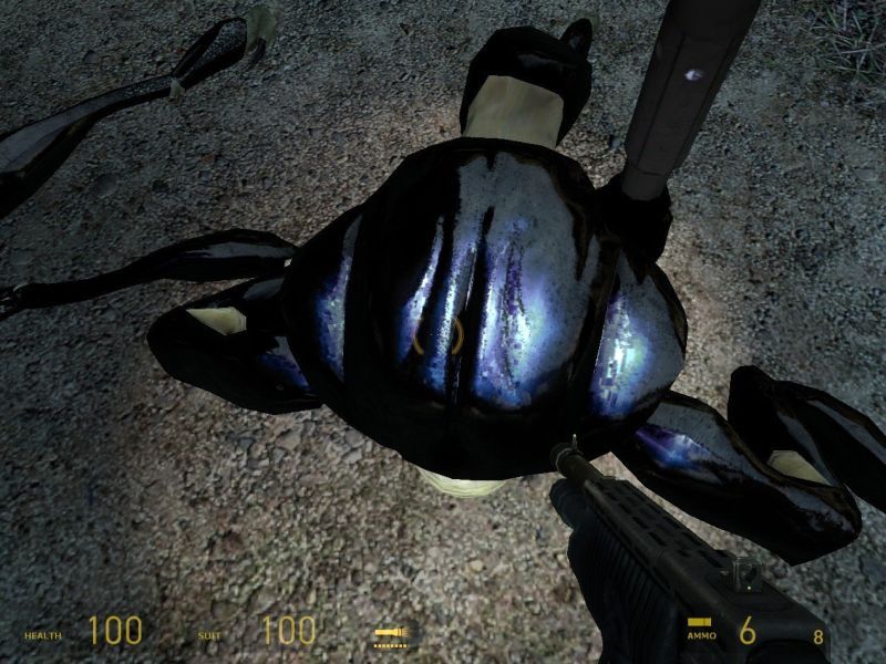 Shiny Hunter