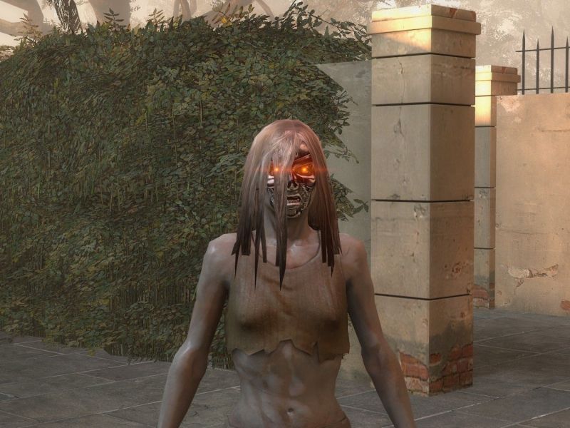 Terminator Witch