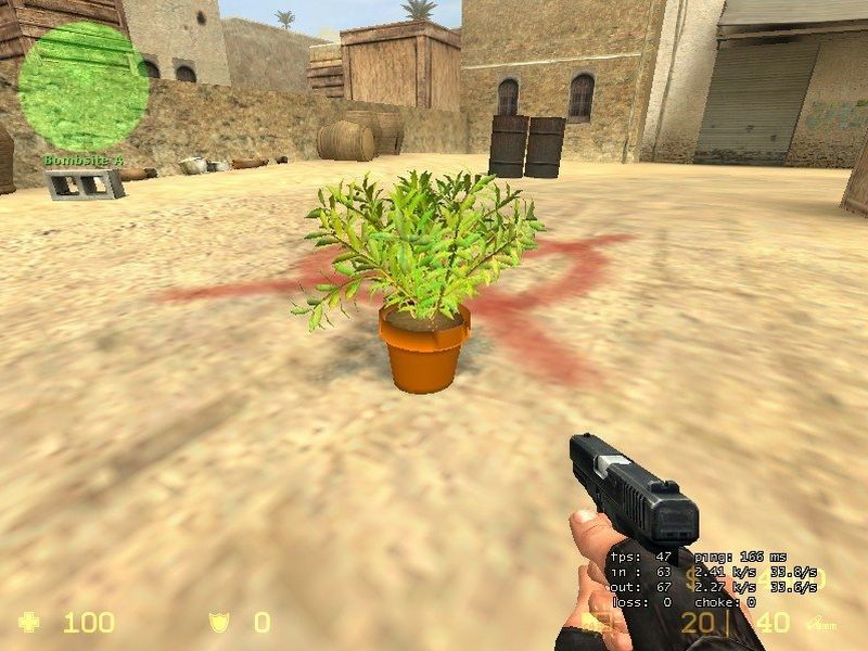 Plant