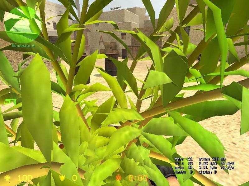 Plant