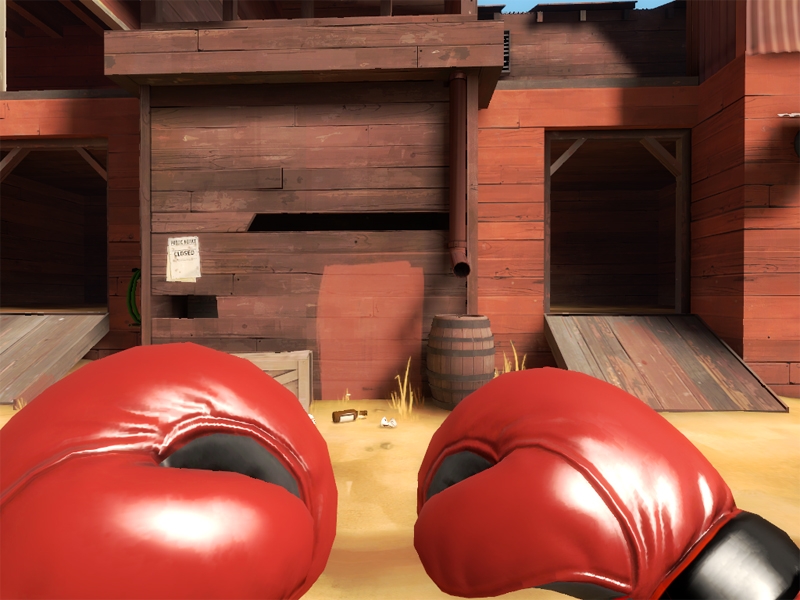 HD Gloves