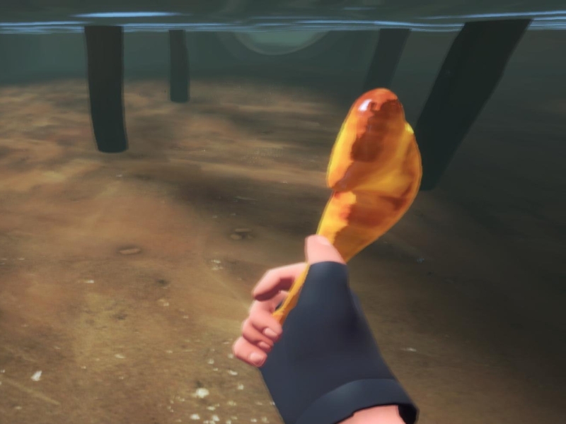 Chicken Leg