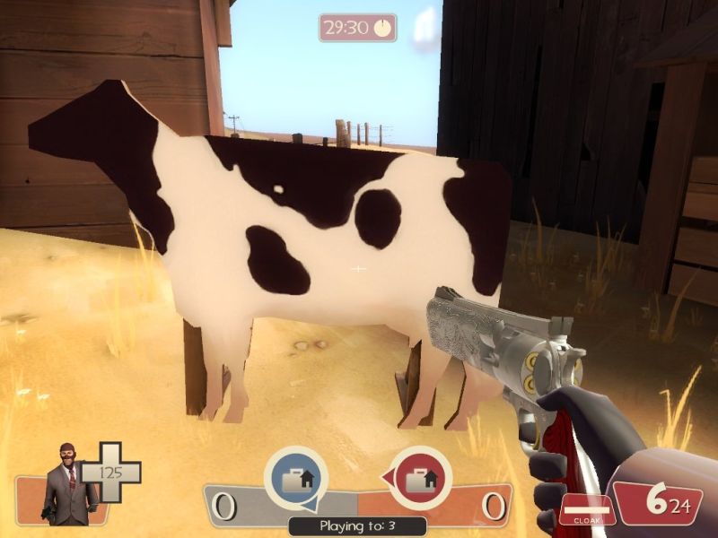 HD Cow